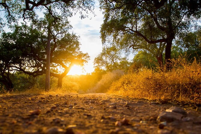 2hr Cork Tour in a Jeep - Practical Details for the Traveler