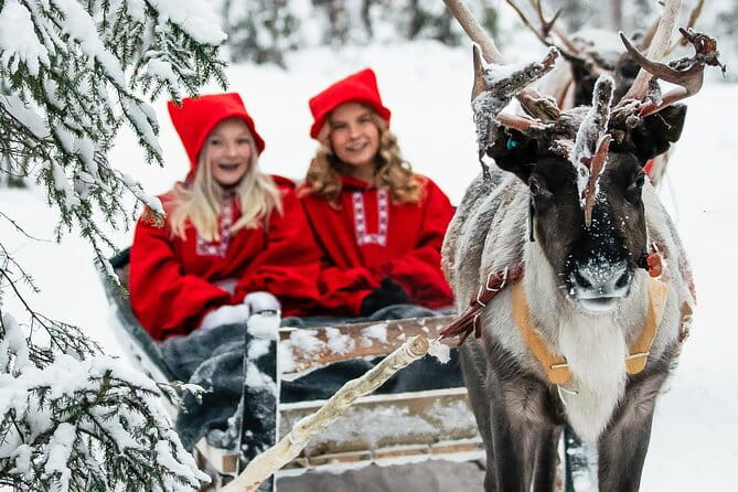 2km Sleigh Ride & Feeding Experience at Traditional Reindeer Farm - Key Points / Takeaways