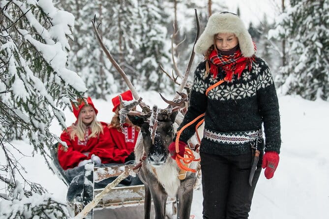 2km Sleigh Ride & Feeding Experience at Traditional Reindeer Farm - Who Will Love This Tour?