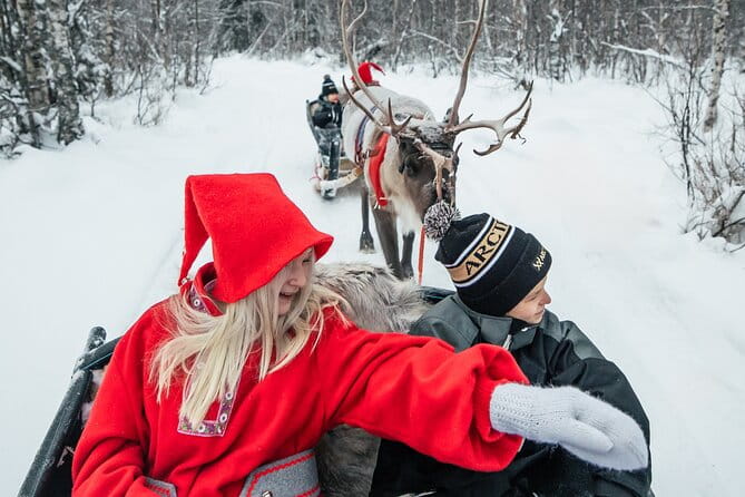 2km Sleigh Ride & Feeding Experience at Traditional Reindeer Farm - Price and Logistics