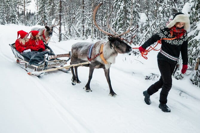 2km Sleigh Ride & Feeding Experience at Traditional Reindeer Farm - FAQ
