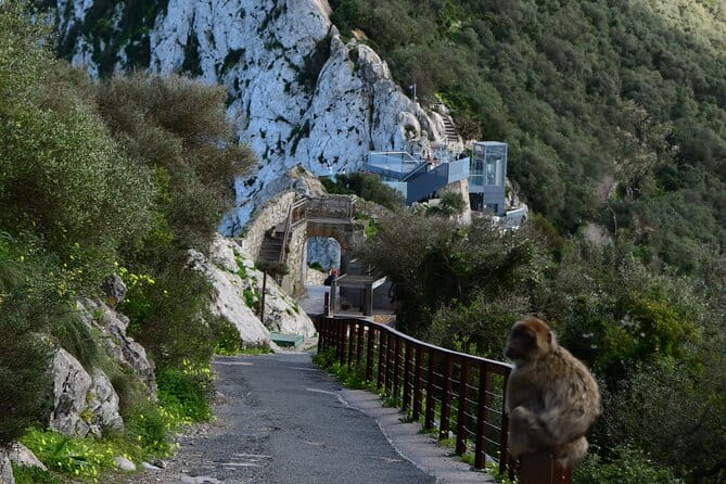 3.30Hrs Private Victory Diamond Rock Tour in Gibraltar - Who Will Love This Tour?