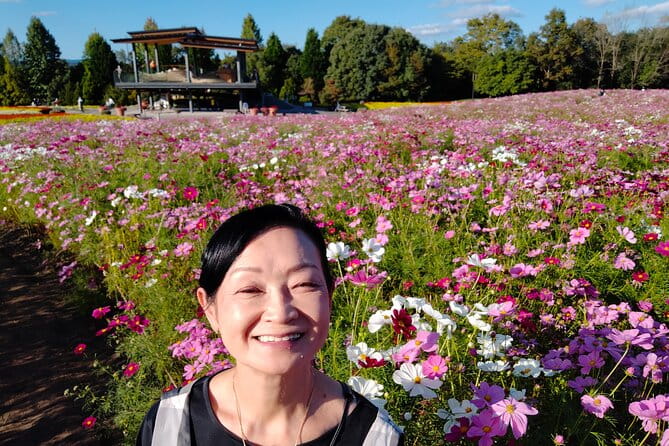 3 Day Japan Highlights Tour: Tokyo, Mt.Fuji, Nara, Kyoto, Osaka - Accommodations and Meals