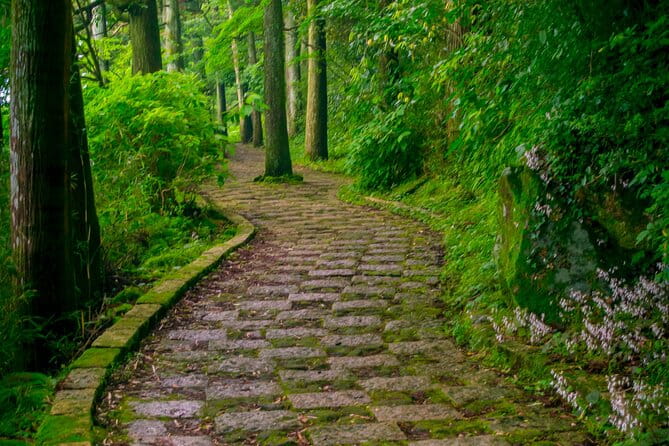 3 Day Japan Highlights Tour: Tokyo, Mt.Fuji, Nara, Kyoto, Osaka - Customer Reviews