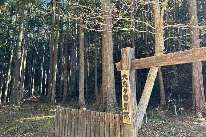 3 Day Kumano Kodo Pilgrimage Route Walking Tour From Osaka - Meeting and Schedule Details