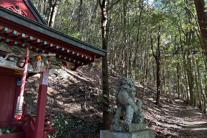 3 Day Kumano Kodo Pilgrimage Route Walking Tour From Osaka - Participant Guidelines and Recommendations