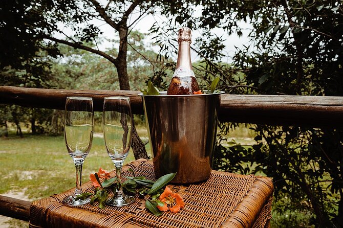 3 Day Luxury Tented Kruger Safari From Johannesburg - Accessibility and Additional Info