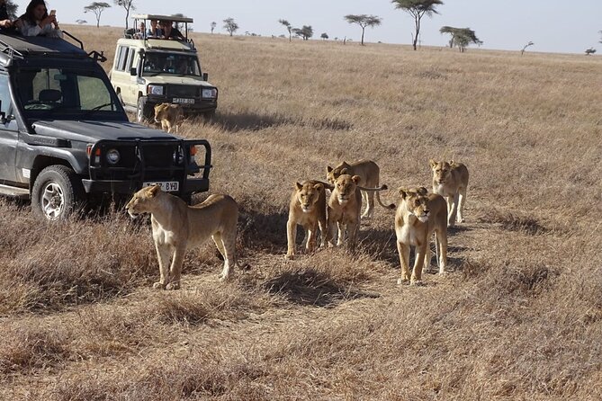 3-Day Maasai Mara Small Group Safari in a 4 X4 Land Cruiser Jeep - Safari Itinerary