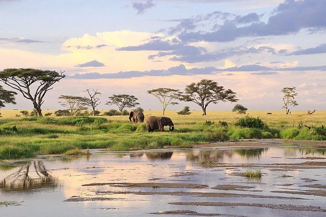 3-Day Masai Mara Safari Tour to See the Big Five and Wildebeest Migration - Additional Details