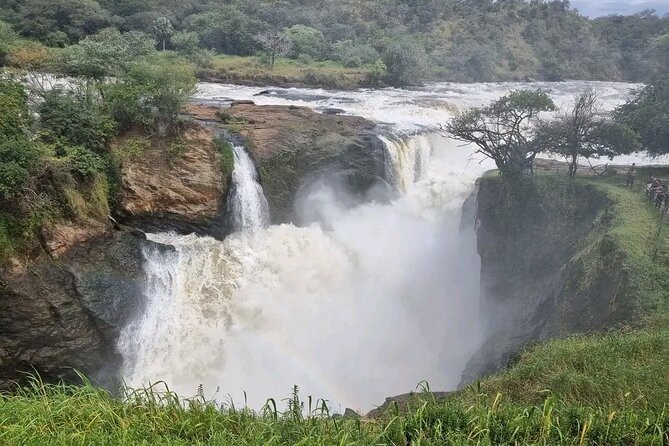 3 Day Murchison Falls and Wildlife Viewing Safari - Reviews and Ratings