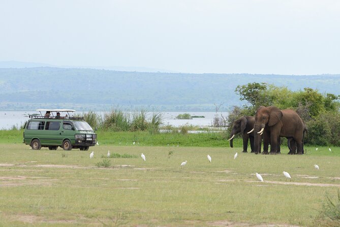 3 Day Murchison Falls and Wildlife Viewing Safari - Safari Highlights