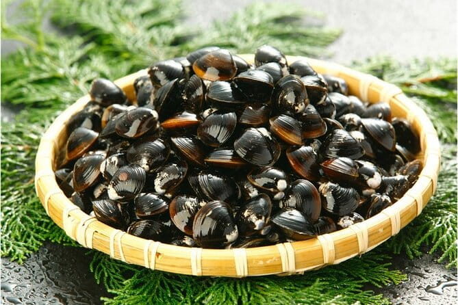 3-Day ONE WAY Bus Tour to Hiroshima via SANIN From Fukuoka - Tour Itinerary