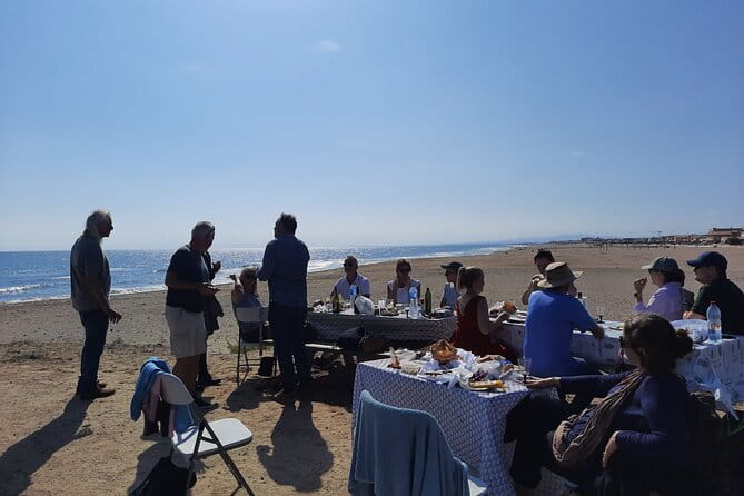 3 Day Wine Tasting Tour in Languedoc - Vineyard Visits: Authentic, Family-Run Charm