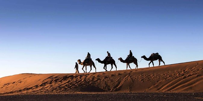 3 Days 2 Nights Adventure From Marrakech to Fez via Desert - Child Rates and Policies