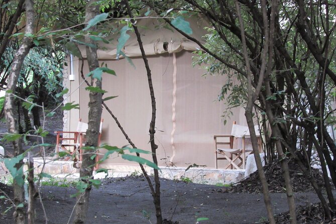 3 Days 2 Nights Maasai Mara Safari Transport 4x4 Landcruiser Jeep - Maasai Mara Safari Highlights