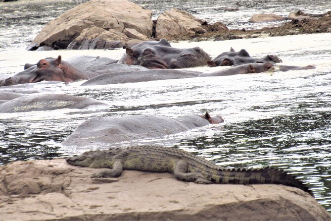 3 Days 2 Nights Maasai Mara Safari Transport 4x4 Landcruiser Jeep - Transportation - 4x4 Landcruiser Jeep