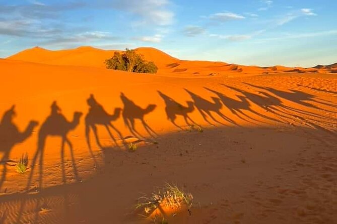 3 Days Group Tour From Marrakech to Merzouga Desert - Berber Music and Culture