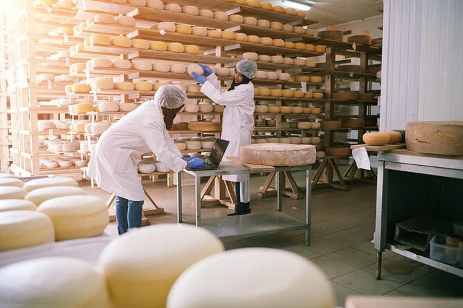 3 Days In Bologna - The Sum Up