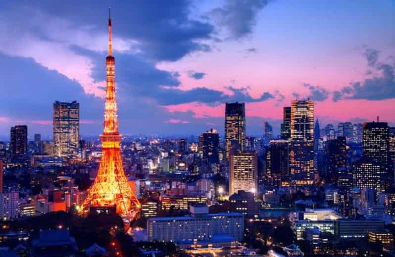 3 Days Japan Tour Tokyo , Mt Fuji and Nikko (English Driver) - Transportation and Services