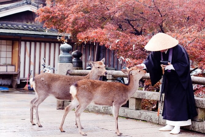 3 Days Private Osaka Kyoto and Nara Tour With English Driver - Nara Destinations