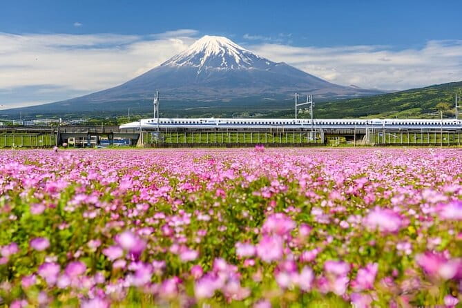 3 Days Tokyo, Mount Fuji and Nikko Private Tour - Exclusions