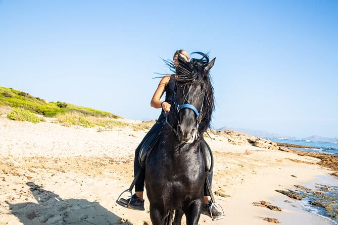 3-Hour Beach Horse Riding to Discover the Beauty of Alcudia Bay - The Experience in Detail: What to Expect from Start to Finish