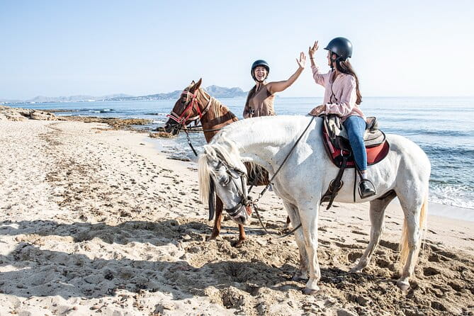3-Hour Beach Horse Riding to Discover the Beauty of Alcudia Bay - FAQ
