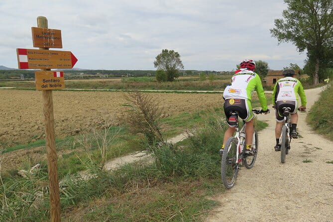 3-Hour Bike Tour and Wine in Tuscany: Nobile's Path - The Route and What You Can Expect