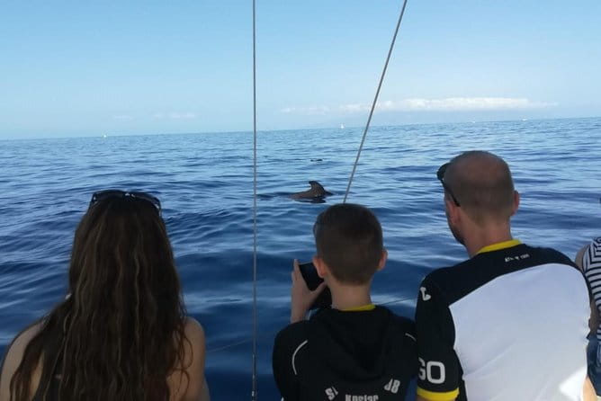 3-Hour Boat Trip from Costa Adeje in Tenerife - Who Is This Trip Best Suited For?