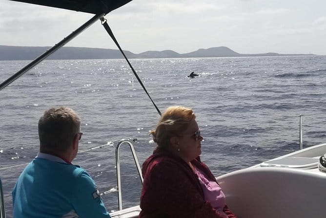 3-Hour Boat Trip from Costa Adeje in Tenerife - Frequently Asked Questions