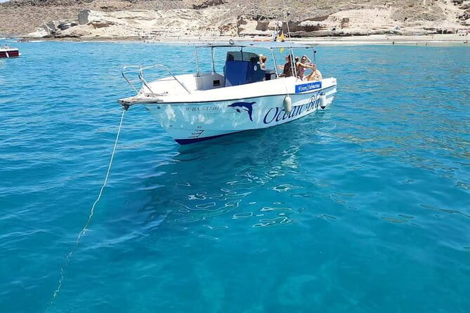 3-hour excursion to Puerto Colón Adeje to see whales - Detailed Review of the Experience