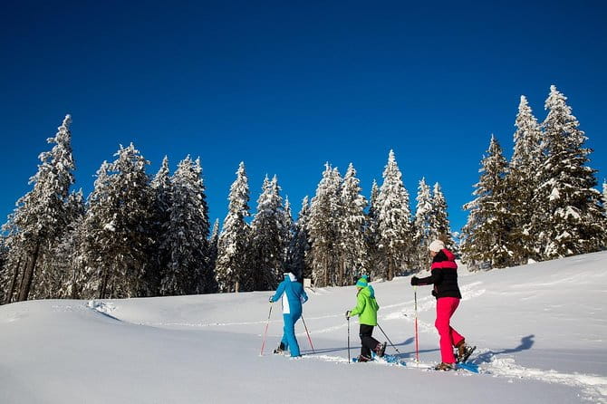 3-Hour Guided Snowshoeing Adventure in the Slovenian Alps - A Snowshoeing Adventure in Slovenia’s Winter Wonderland