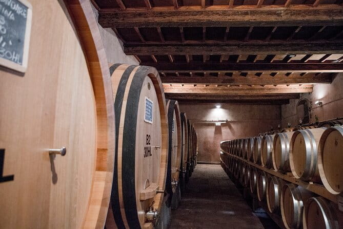 3 Hour Horse Ride to a Castle for Wine Tasting and snack Lunch - Arriving in Tuscany: The Journey Begins