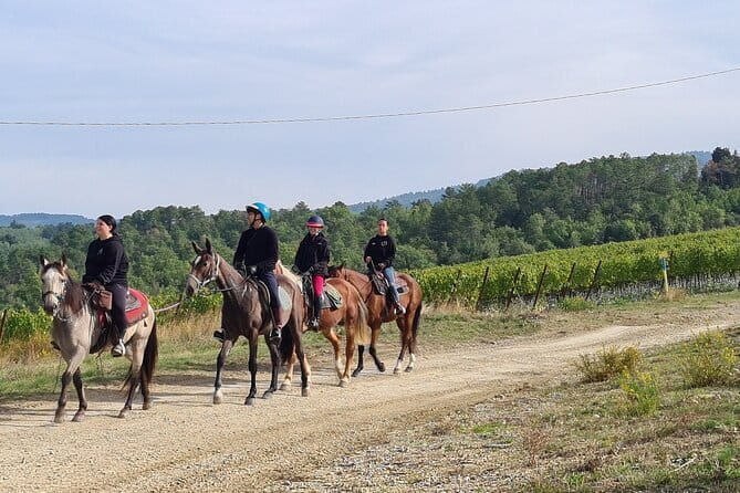3 Hour Horse Ride to a Castle for Wine Tasting and snack Lunch - The Castle: Medieval Charm and Modern Elegance