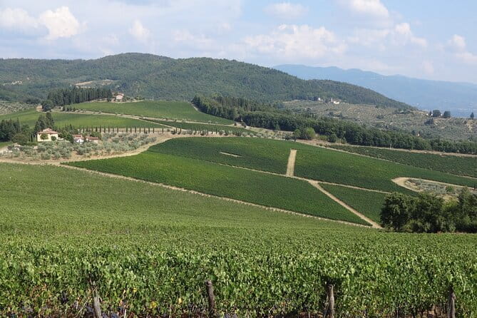 3 Hour Horse Ride to a Castle for Wine Tasting and snack Lunch - The Overall Experience: An Authentic Taste of Tuscany