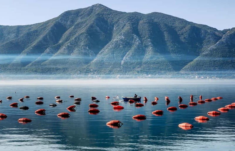 3-Hour Kotor Bay Cruise: Perast, Rocks & Mussel Farm Visit - Exploring Boka Bay: A Compact but Gorgeous Montenegro Adventure