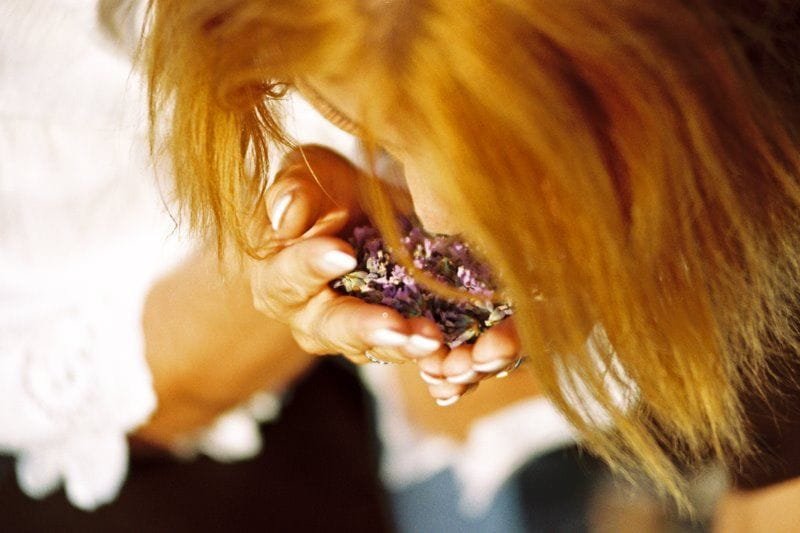 3-Hour Lavender Tour from Hvar - Key points / Takeaways