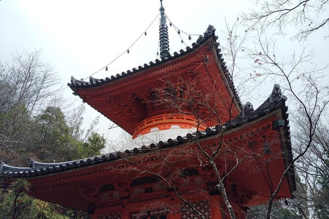 3 Hour Nanaura Tour Around Miyajima With Lunch Box - The Sum Up