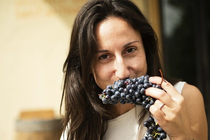 3-Hour Private Food and Wine Experience in Montalcino - A Taste of Tuscany: Private Food and Wine in Montalcino