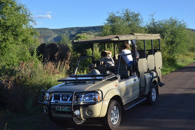 3-Hour Private Game Drive of Pilanesberg National Park - Pilanesberg National Park Highlights