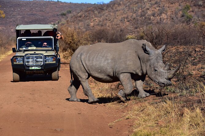 3-Hour Private Game Drive of Pilanesberg National Park - Inclusions and Whats Covered