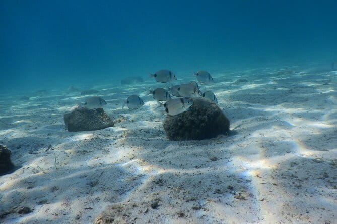 3 Hour Private Scuba Diving Experience - Key points / Takeaways