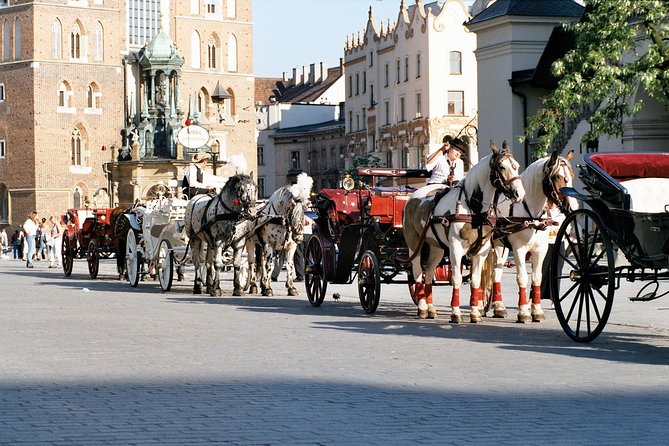 3-Hour Private Tour of Krakow - Traveler Reviews