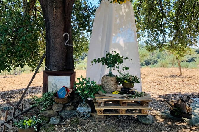 3-Hour Private Wine Tasting in Quinta da Vineadouro with Lunch - The Authentic, Peaceful Setting