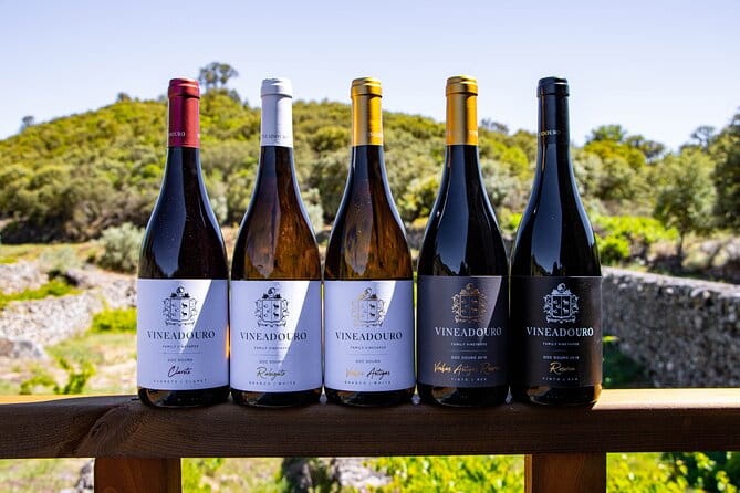 3-Hour Private Wine Tasting in Quinta da Vineadouro with Lunch - Practical Details and Considerations