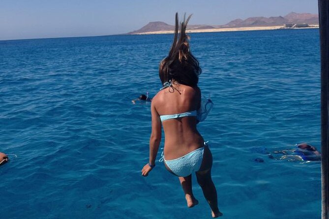 3-Hour Small-Group Sailing Tour Around the Lobos Island - Traveler Experiences and Reviews