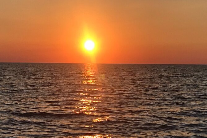 3-Hour Sunset Dolphin Spotting and Dinner in Medulin Archipelago - Dinner and Beverages