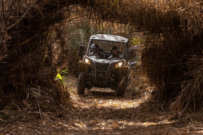 3-Hour Tour by Buggy or Quad in the Algarve - Pricing and Booking