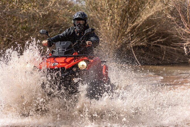 3-Hour Tour by Buggy or Quad in the Algarve - Terrain and Driving Experience