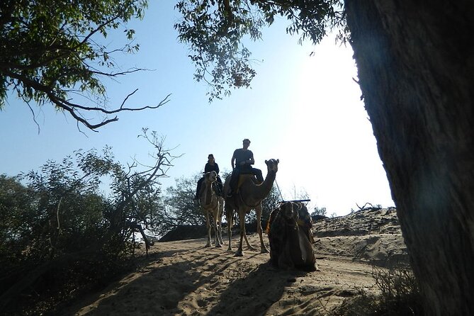 3 Hours Camel Ride in Essaouira, Beach and Dunes - Exploring Essaouira Beach